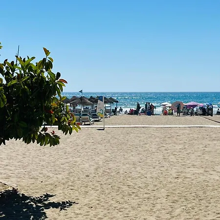 Palm Fuengirola