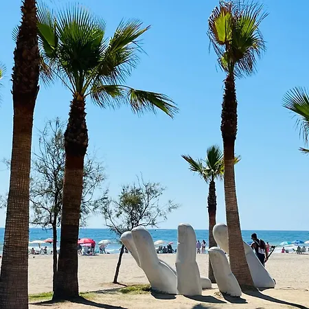 Palm פואנגירולה