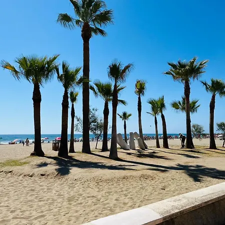 Palm Apartamento